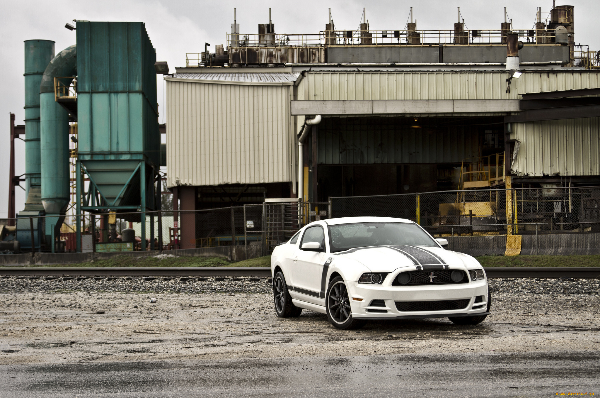 , mustang, , ford, , 302, , , white, boss